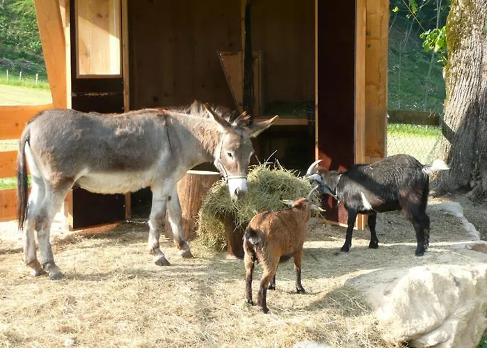 Bognerlehen Rupert Kurz Bischofswiesen