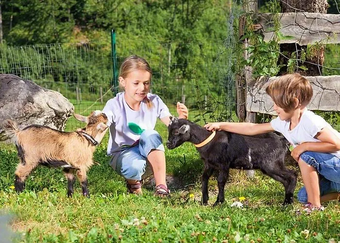 Vakantieboerderij Bognerlehen Rupert Kurz